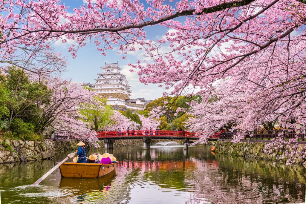 Boat ride beneath cherry blossoms with Himeji Castle in the background during spring in Japan