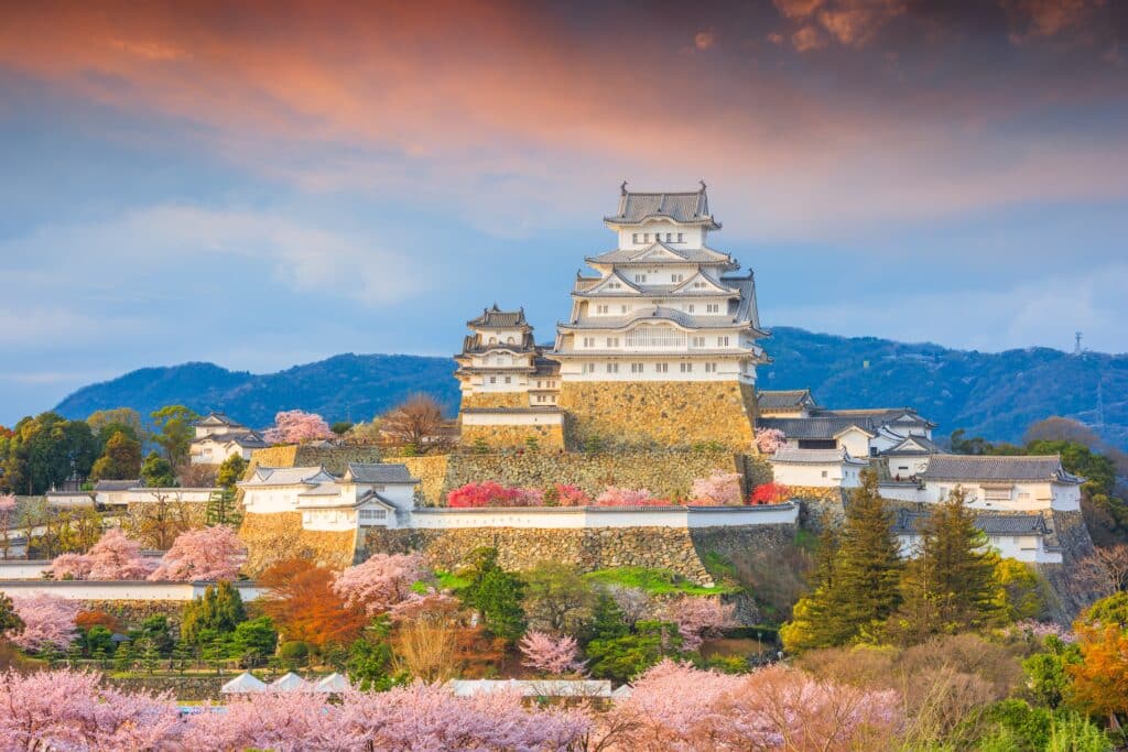 Himeji Castle surrounded by cherry blossoms during spring in Japan