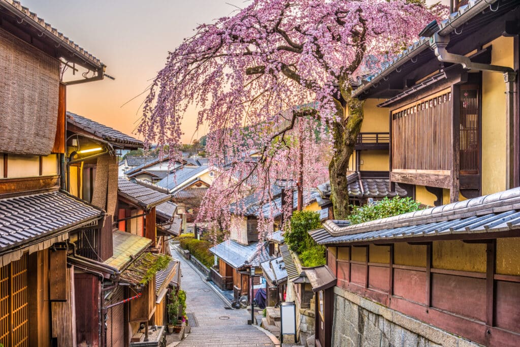 Traditional Higashiyama streets in Kyoto lined with cherry blossoms during spring