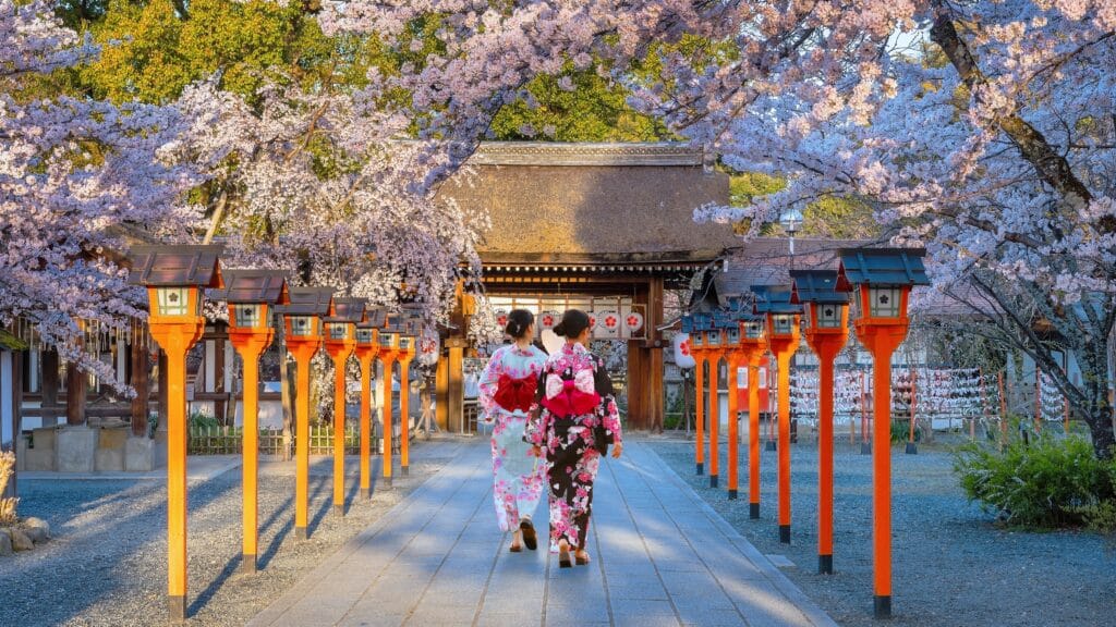 Visitors wearing kimono beneath cherry blossoms at a traditional Kyoto shrine