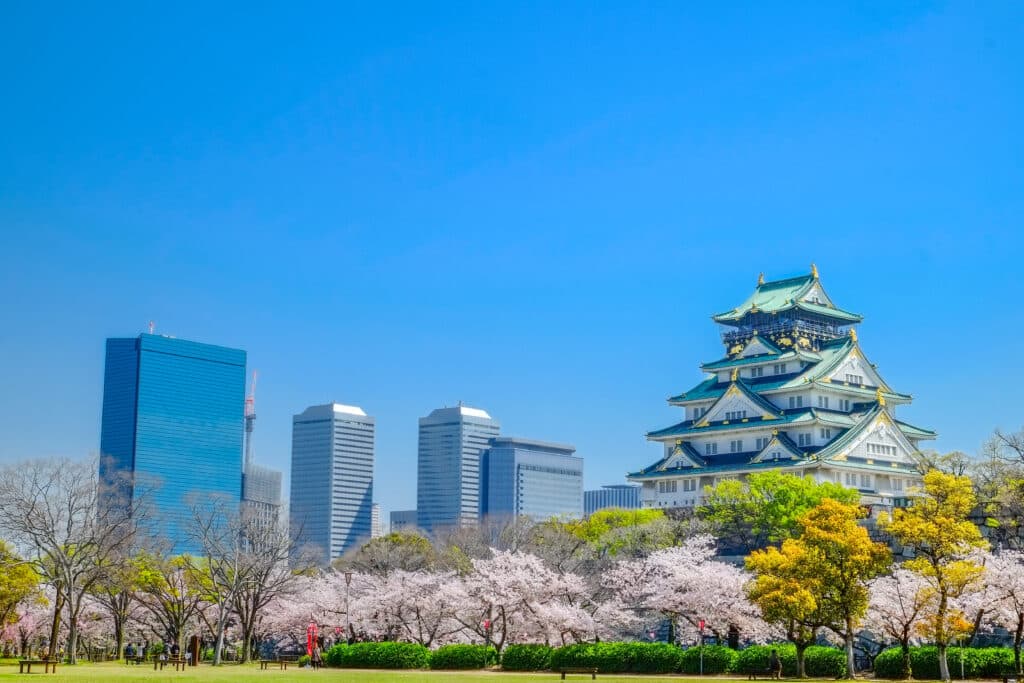 Osaka Castle surrounded by cherry blossom trees in spring
