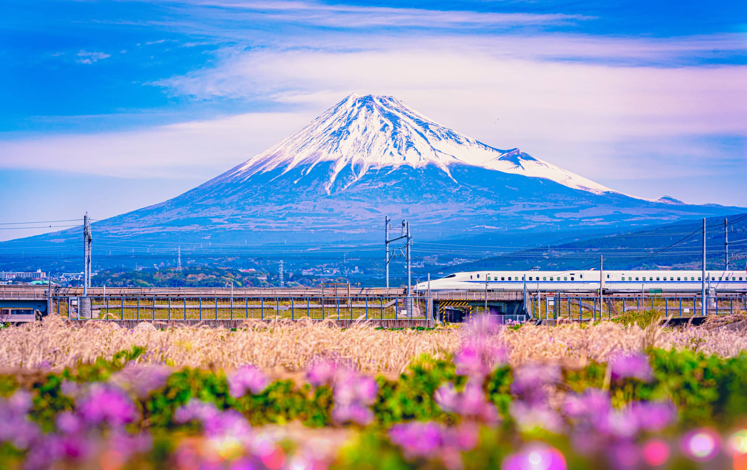 Shinkansen bullet train passing Mount Fuji on Japan's Golden Route
