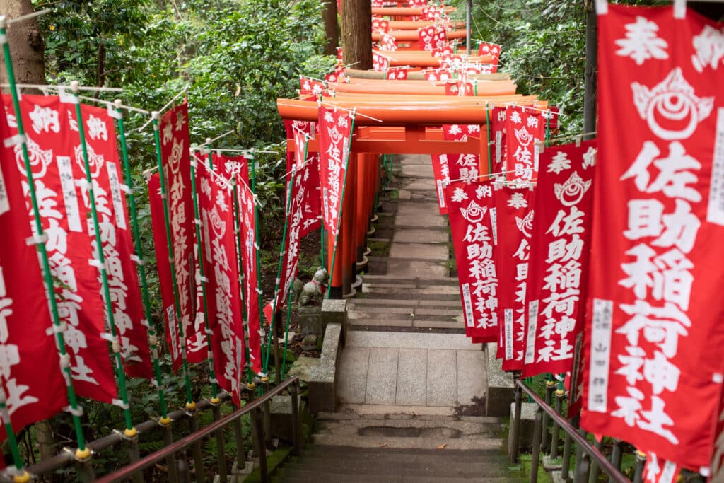 Red torii gates and banners at Sasuke Inari Shrine in Kamakura