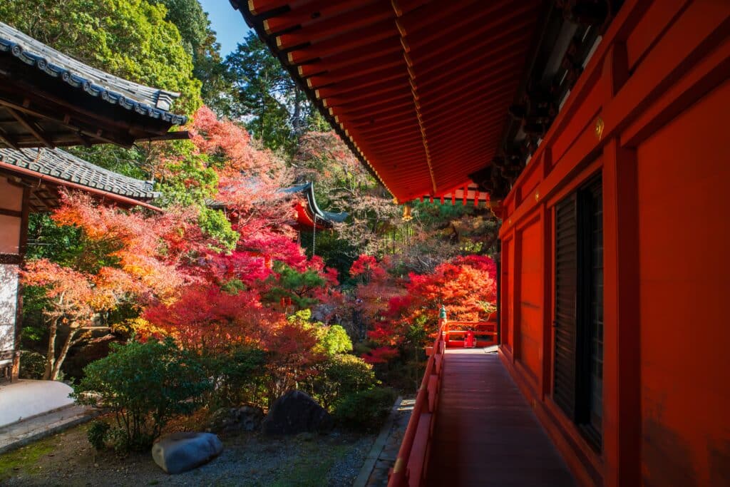 Traditional Japanese temple surrounded by vibrant red and orange autumn maple leaves