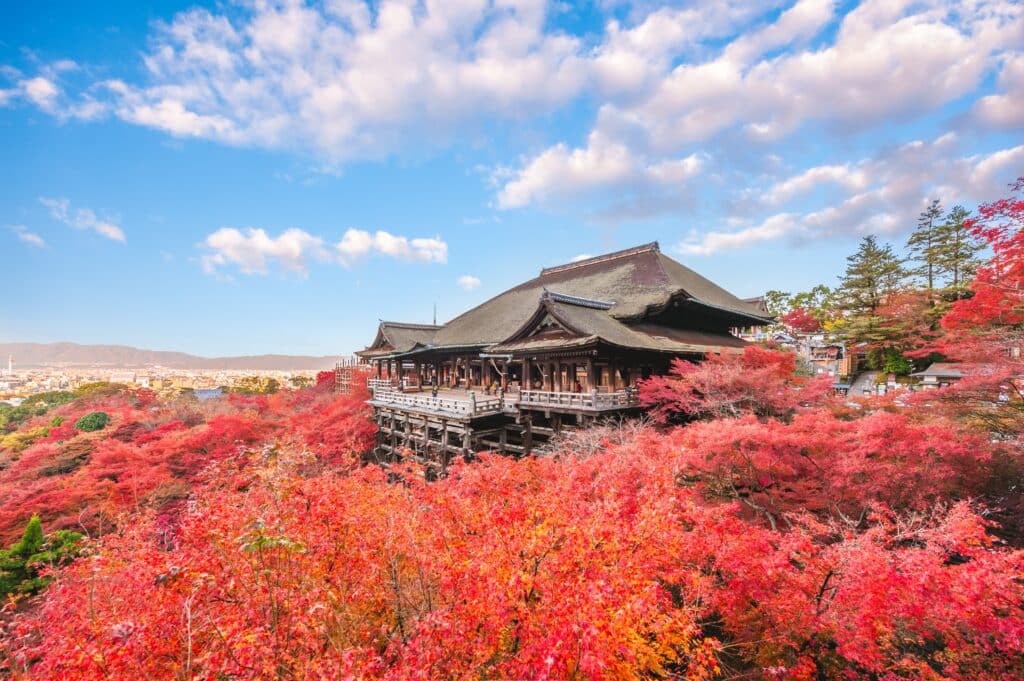 Kiyomizu-dera Temple in Kyoto surrounded by vibrant red autumn foliage