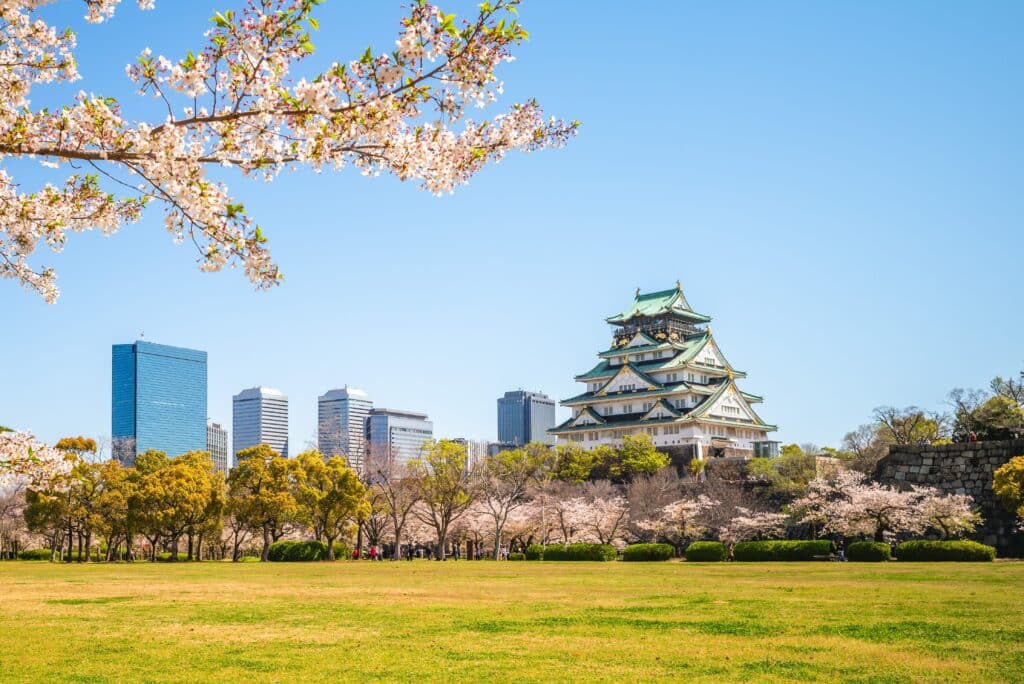 Osaka Castle surrounded by cherry blossom trees with modern city buildings in the background